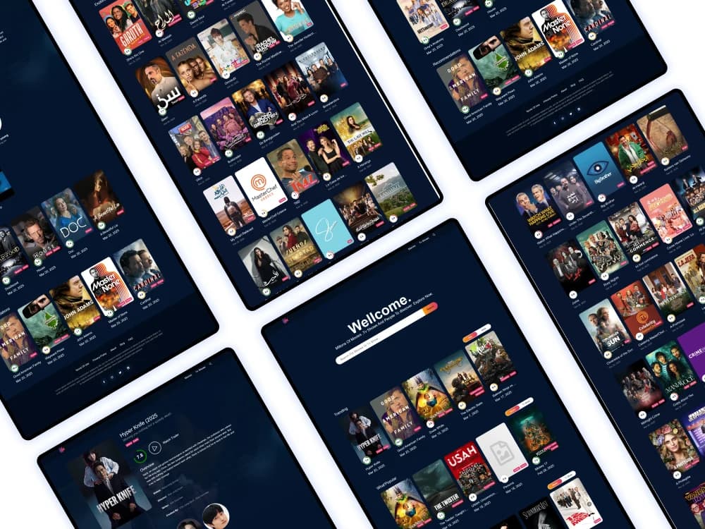 Movie streaming application browsing interface